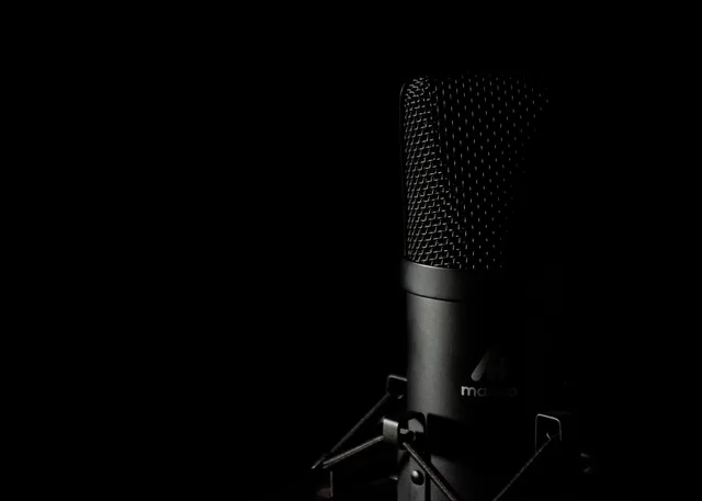 Detailed close-up of a studio microphone with a dark background, ideal for audio production themes. A podcast SEO launch review is only as strong as its sources