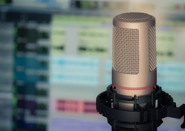 microphone, sound, computer, interview, reporter, speech, entry, singing, studio, musicians, music, play, stereo, podcast, podcasts, gold, bass, composing, interview, interview, podcast, podcast, podcast, podcast, podcast. Seven checks behind a podcast SEO review methodology
